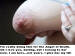 Click for full size image